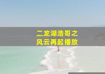 二龙湖浩哥之风云再起播放