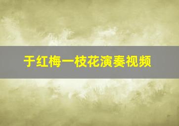 于红梅一枝花演奏视频