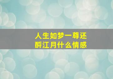 人生如梦一尊还酹江月什么情感