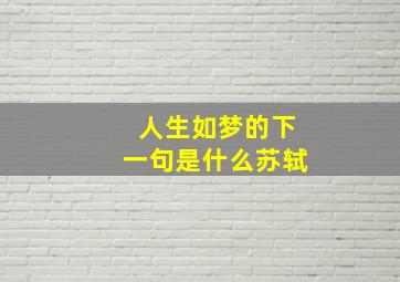 人生如梦的下一句是什么苏轼