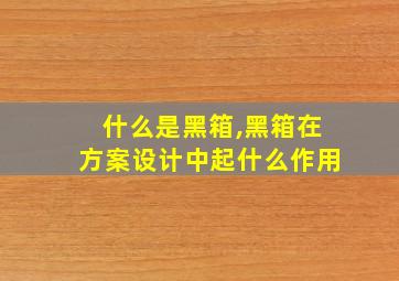 什么是黑箱,黑箱在方案设计中起什么作用