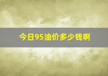 今日95油价多少钱啊