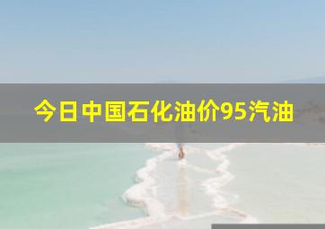 今日中国石化油价95汽油