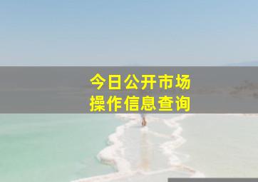 今日公开市场操作信息查询