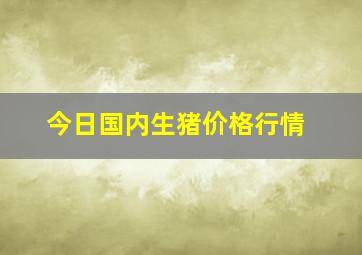 今日国内生猪价格行情