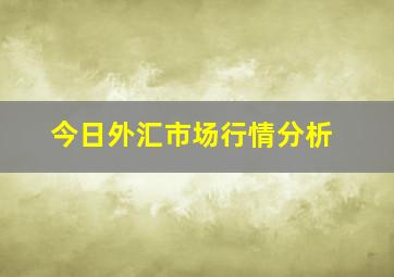 今日外汇市场行情分析