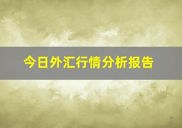 今日外汇行情分析报告