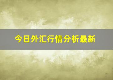 今日外汇行情分析最新