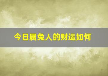 今日属兔人的财运如何