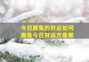 今日属兔的财运如何属兔今日财运方是哪