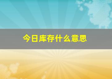 今日库存什么意思