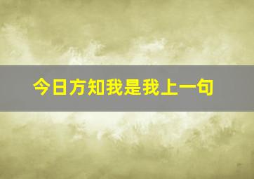 今日方知我是我上一句