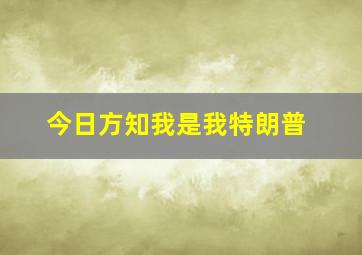 今日方知我是我特朗普