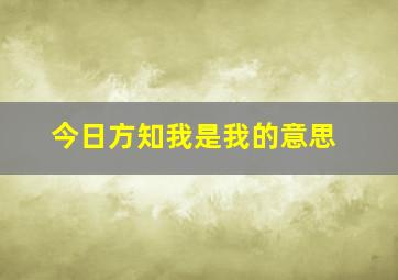 今日方知我是我的意思