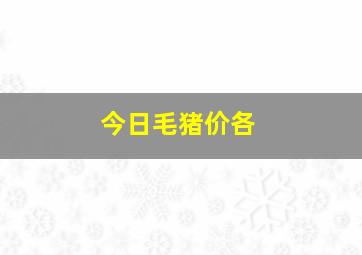 今日毛猪价各