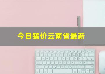 今日猪价云南省最新