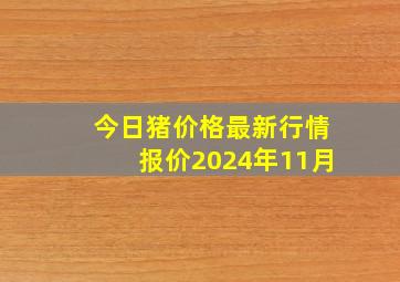 今日猪价格最新行情报价2024年11月