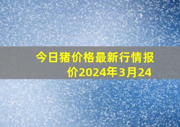 今日猪价格最新行情报价2024年3月24