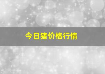 今日猪价格行情