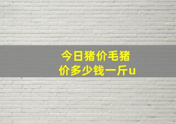 今日猪价毛猪价多少钱一斤u