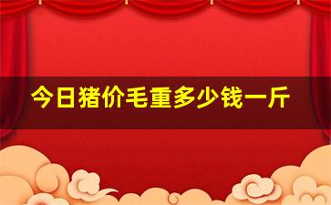 今日猪价毛重多少钱一斤