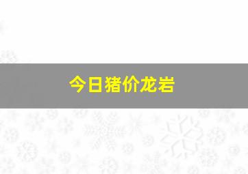 今日猪价龙岩