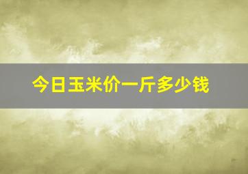 今日玉米价一斤多少钱