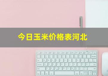 今日玉米价格表河北