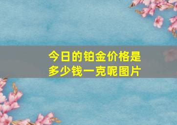 今日的铂金价格是多少钱一克呢图片