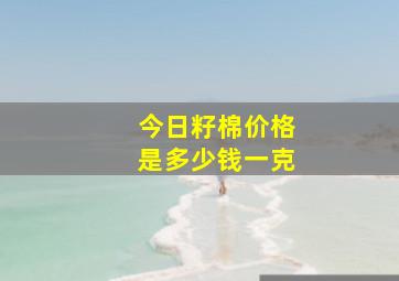 今日籽棉价格是多少钱一克