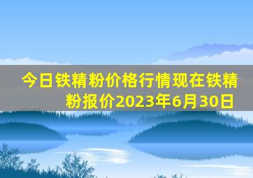 今日铁精粉价格行情现在铁精粉报价2023年6月30日