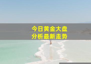 今日黄金大盘分析最新走势