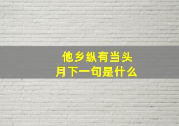 他乡纵有当头月下一句是什么