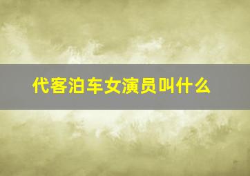 代客泊车女演员叫什么