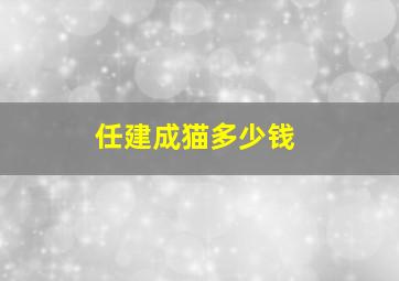 任建成猫多少钱