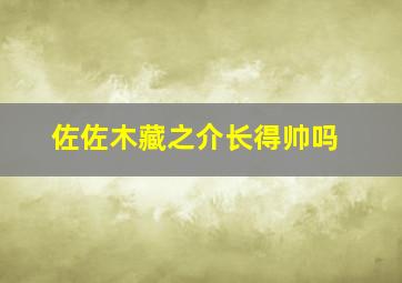 佐佐木藏之介长得帅吗