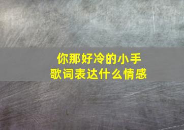 你那好冷的小手歌词表达什么情感