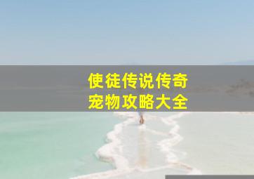 使徒传说传奇宠物攻略大全