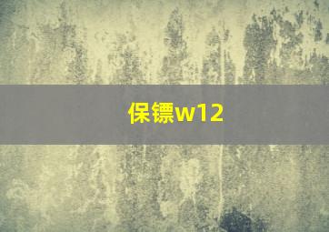 保镖w12