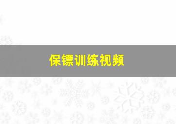 保镖训练视频