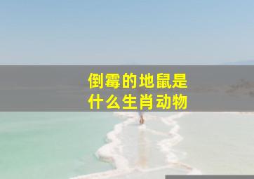 倒霉的地鼠是什么生肖动物