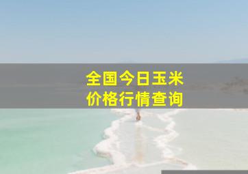 全国今日玉米价格行情查询