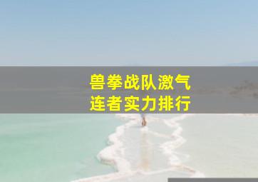 兽拳战队激气连者实力排行