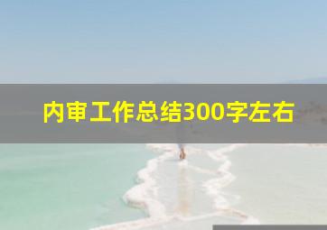 内审工作总结300字左右