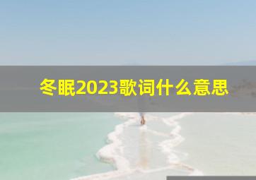 冬眠2023歌词什么意思