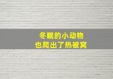 冬眠的小动物也爬出了热被窝