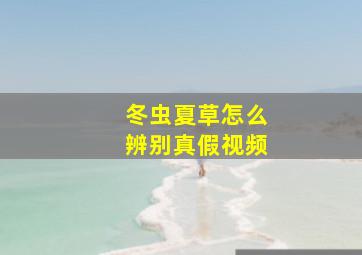 冬虫夏草怎么辨别真假视频