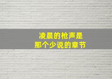 凌晨的枪声是那个少说的章节