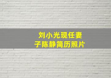 刘小光现任妻子陈静简历照片