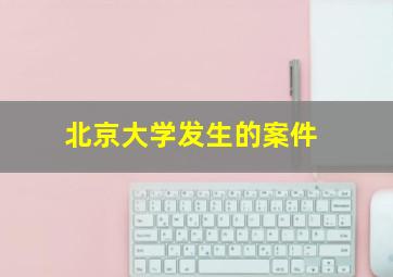 北京大学发生的案件